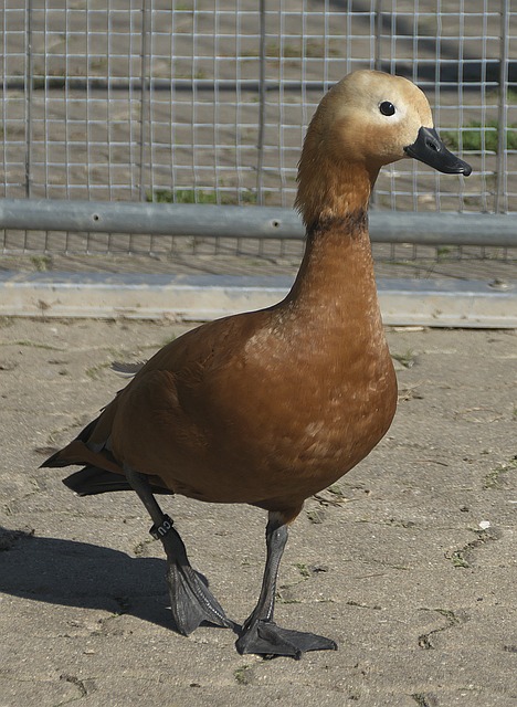 选择坚守