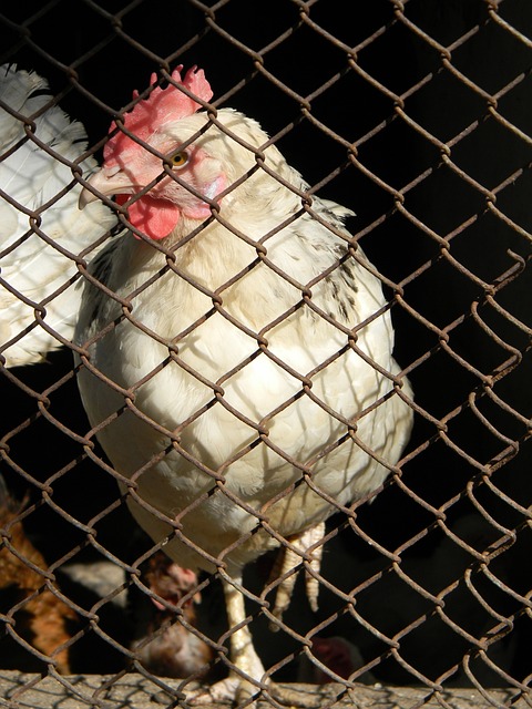 带来什么 带来什么