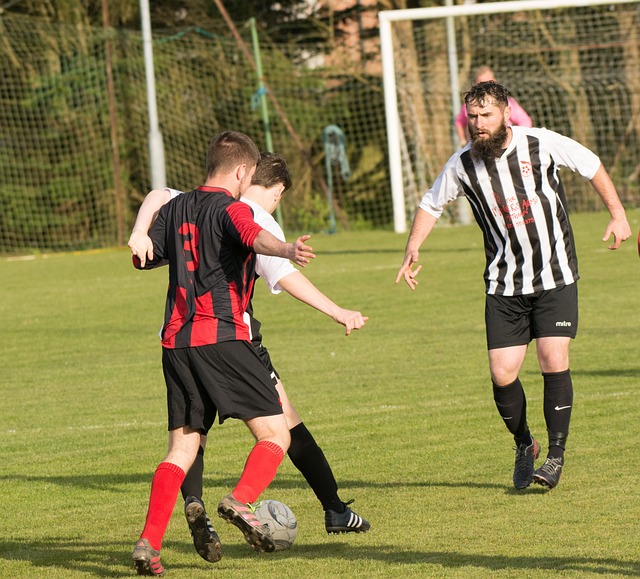 的重要支柱 的重要支柱