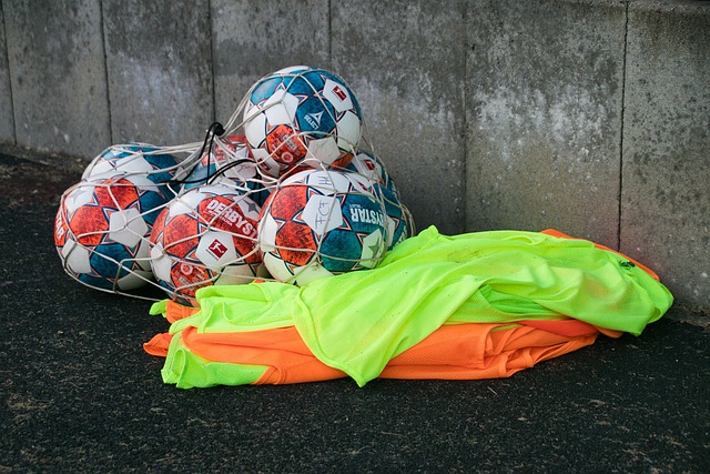 但若不能有 但若不能有