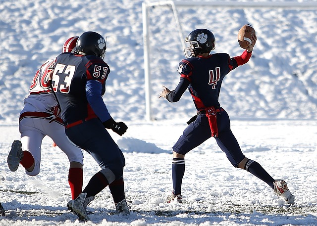 示了体育明 示了体育明