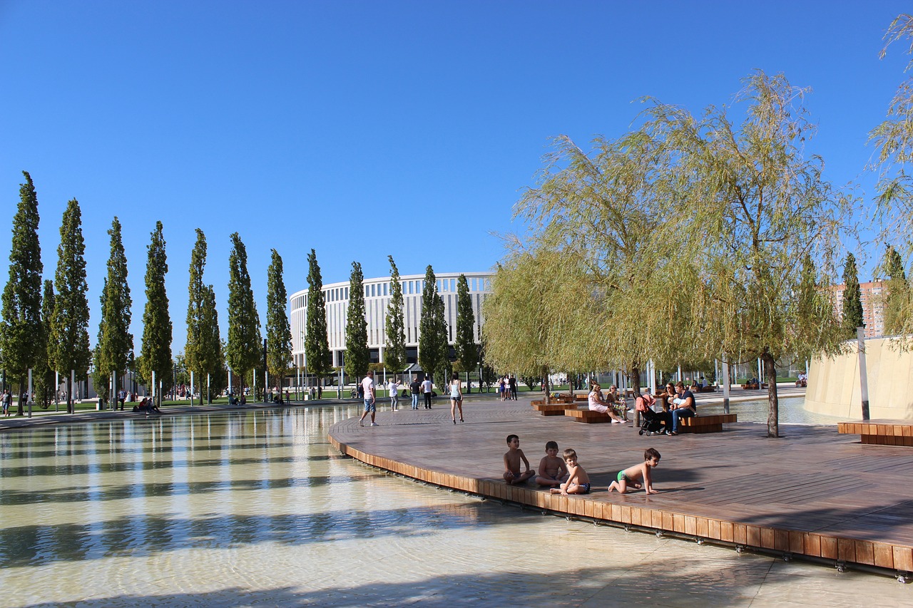 不必要的紛 不必要的紛