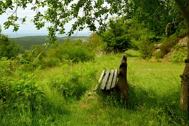 反映了球員 反映了球員
